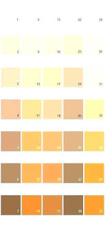 Coral Paint Color Chart Best For Bedroom Colors Affordable