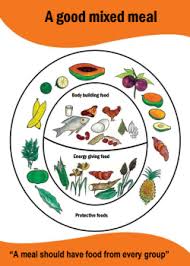 Harvestplus Nutrition Training Charts Sweetpotato