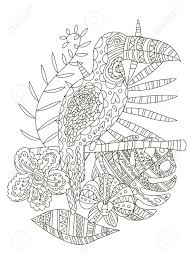 Toucan singing coloring page to color, print and download for free along with bunch of favorite toucan coloring page for kids. Hand Drawing Coloring Pages For Children And Adults A Beautiful Royalty Free Cliparts Vectors And Stock Illustration Image 138299101