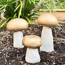 concrete mushrooms cali in a