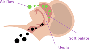 Understanding snoring | Unisom®