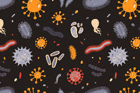O que são as bactérias, germes e vírus?
