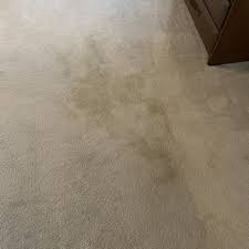 nelson carpet cleaning 33 photos 42