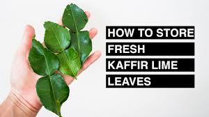 how to fresh kaffir lime leaves