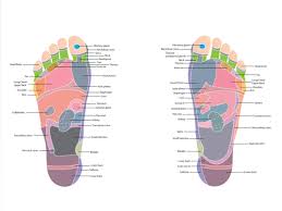 Foot Reflexology By Usama Zahoor On Dribbble