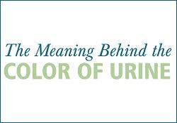The Meaning Behind The Color Of Urine Urology Care Foundation