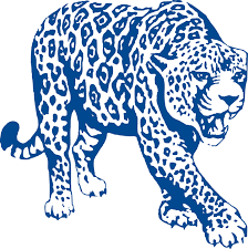 Image result for jaguars logo wilcox central