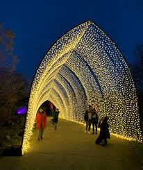 lightscape at chicago botanic gardens