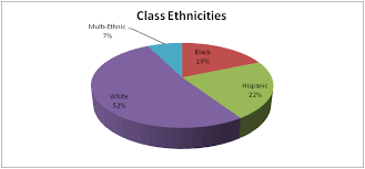 Demographic Profile Eportfolio