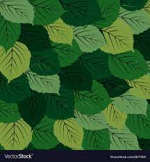 green leaves carpet royalty free vector