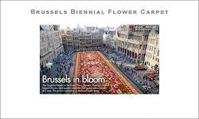 brussels biennial flower carpet