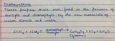 define photosynthesis with the help of