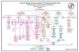 30 Actual Organisation Chart Of A Public Limited Company