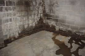 Waterproofing Basement Walls Costs And