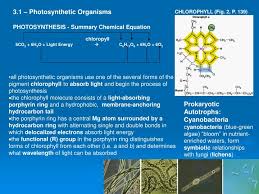 Photosynthetic Organisms Photosynthesis