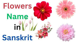 60 flowers name in sanskrit and english