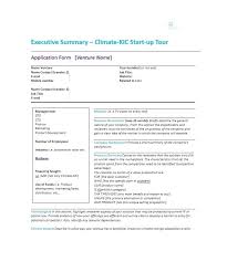 Executive Summary Template Layout Sample For Mba Project