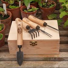 Buy Dewit Small Propagating Tools Set