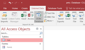 microsoft access as a front end to mysql