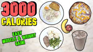 3000 calorie meal plan for muscle