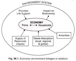 environment and economic development