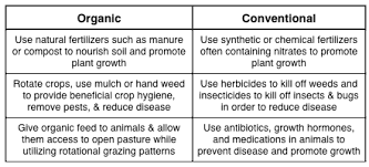 Organic Farming vs Intensive Farming Eating Food That s Better for You  Organic or Not