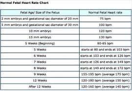 What Was Your Babies Heart Rate Bpm At Your 8 Week Scan