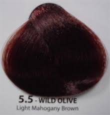 5 5luminart Cream Colour 100ml Wild Olive Knp