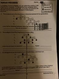 Human genetics interpreting pedigree answer key. Solved Ble With Trall Me Without Human Pedigrees Name By Chegg Com