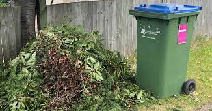 100 a year for garden waste collections