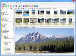 Xnview is a free software for windows that allows you to view, resize and edit your photos. Xnview Portable 2 50 0 Free Download Software Reviews Downloads News Free Trials Freeware And Full Commercial Software Downloadcrew