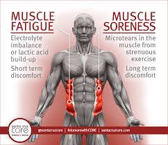 muscle fatigue v s muscle soreness