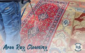tips for cleaning area rugs rash and son