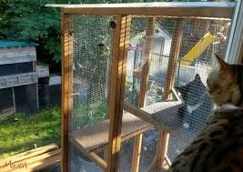 Bird watching will be comfortable for your cat from this outdoor window. Everything You Need For A Catio I Am The Maven