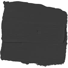 Black Paint Shades Interior Designers