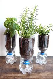 10 Easy Self Watering Planters In 2023