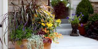 Planting Flowers In Containers Pots