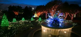 how atlanta botanical garden lights up