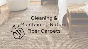 how to clean a natural fiber rug sisal