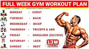 full week gym workout plan week