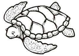 A turtle is an animal that lives in or near water; Free Printable Turtle Coloring Pages For Kids