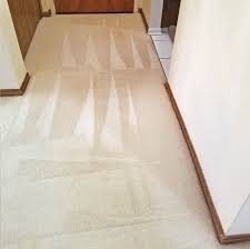 1 commerical carpet cleaning in