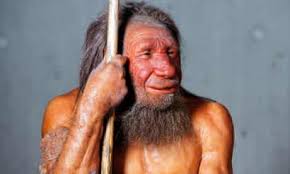 Study casts doubt on human-Neanderthal interbreeding theory | Anthropology  | The Guardian
