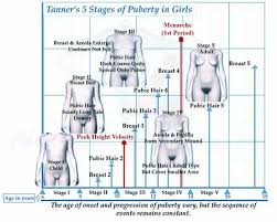 Rigorous Girls Breast Development Chart 2019