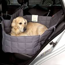 Doctor Bark 2 Car Seat Blanket L