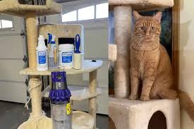 how to clean a cat tree or tower