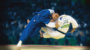 Resultado de imagen de judo