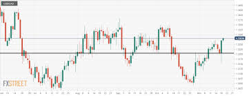 Usd Cad The Bull Is Getting Ready To Bellow