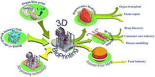 frontiers 3d bioprinting at the
