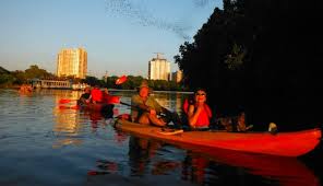 kayak tour austin congress ave bridge